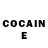 Cocaine FishScale Brain Techno