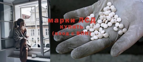 молекула духа Арсеньев