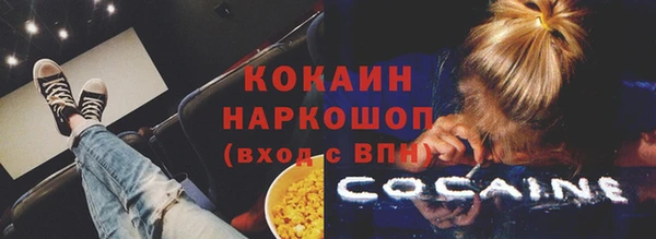 молекула духа Арсеньев