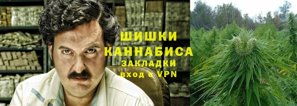 молекула духа Арсеньев
