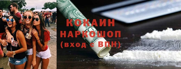 молекула духа Арсеньев