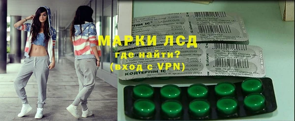 молекула духа Арсеньев
