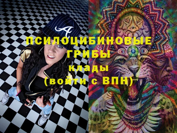 молекула духа Арсеньев